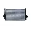 Intercooler, échangeur NRF 30166 - Visuel 1