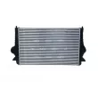 Intercooler, échangeur NRF 30166 - Visuel 3