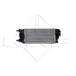 Intercooler, échangeur NRF 30183 - Visuel 1