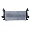 Intercooler, échangeur NRF 30269 - Visuel 1