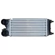 Intercooler, échangeur NRF 30274 - Visuel 1