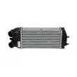 Intercooler, échangeur NRF 30278 - Visuel 1