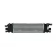 Intercooler, échangeur NRF 30285 - Visuel 3