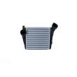 Intercooler, échangeur NRF 30293 - Visuel 1