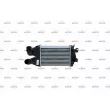 Intercooler, échangeur NRF 30307 - Visuel 1