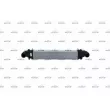 Intercooler, échangeur NRF 30313 - Visuel 1