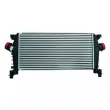 Intercooler, échangeur NRF 30318 - Visuel 1