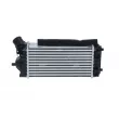 Intercooler, échangeur NRF 30324 - Visuel 3