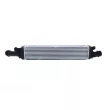 Intercooler, échangeur NRF 30339 - Visuel 3