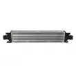 Intercooler, échangeur NRF 30345 - Visuel 1
