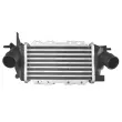 Intercooler, échangeur NRF 30352 - Visuel 1