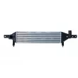Intercooler, échangeur NRF 30363 - Visuel 1