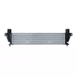 Intercooler, échangeur NRF 30367 - Visuel 1