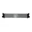 Intercooler, échangeur NRF 30369 - Visuel 1