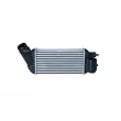 Intercooler, échangeur NRF 30376 - Visuel 1