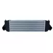 Intercooler, échangeur NRF 30393 - Visuel 1