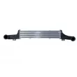 Intercooler, échangeur NRF 30419 - Visuel 1