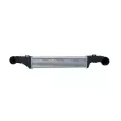 Intercooler, échangeur NRF 30420 - Visuel 1