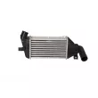 Intercooler, échangeur NRF 30426 - Visuel 1