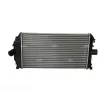 Intercooler, échangeur NRF 30431 - Visuel 1