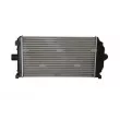 Intercooler, échangeur NRF 30431 - Visuel 3