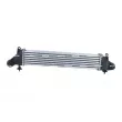 Intercooler, échangeur NRF 30440 - Visuel 3