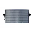 Intercooler, échangeur NRF 30501 - Visuel 1
