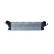 Intercooler, échangeur NRF 30511 - Visuel 1