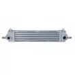 Intercooler, échangeur NRF 30513 - Visuel 1