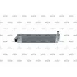 Intercooler, échangeur NRF 30514 - Visuel 1