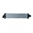 Intercooler, échangeur NRF 30515 - Visuel 1
