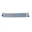 Intercooler, échangeur NRF 30535 - Visuel 1