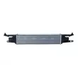 Intercooler, échangeur NRF 30751 - Visuel 3