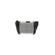 Intercooler, échangeur NRF 30754 - Visuel 1