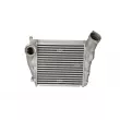 Intercooler, échangeur NRF 30782 - Visuel 1