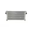 Intercooler, échangeur NRF 30786 - Visuel 1