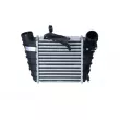 Intercooler, échangeur NRF 30842 - Visuel 1