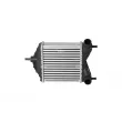 Intercooler, échangeur NRF 30862 - Visuel 1