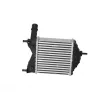 Intercooler, échangeur NRF 30862 - Visuel 3