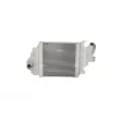 Intercooler, échangeur NRF 30865 - Visuel 1