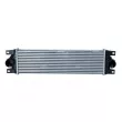 Intercooler, échangeur NRF 30874 - Visuel 1