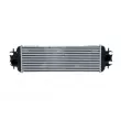 Intercooler, échangeur NRF 30875 - Visuel 1