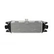 Intercooler, échangeur NRF 30879 - Visuel 1