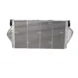 Intercooler, échangeur NRF 30893 - Visuel 3