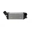 Intercooler, échangeur NRF 30894 - Visuel 1