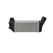 Intercooler, échangeur NRF 30894 - Visuel 3