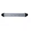 Intercooler, échangeur NRF 30900 - Visuel 3