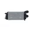 Intercooler, échangeur NRF 309029 - Visuel 3