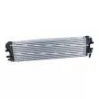 Intercooler, échangeur NRF 309037 - Visuel 3