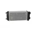 Intercooler, échangeur NRF 30904 - Visuel 3